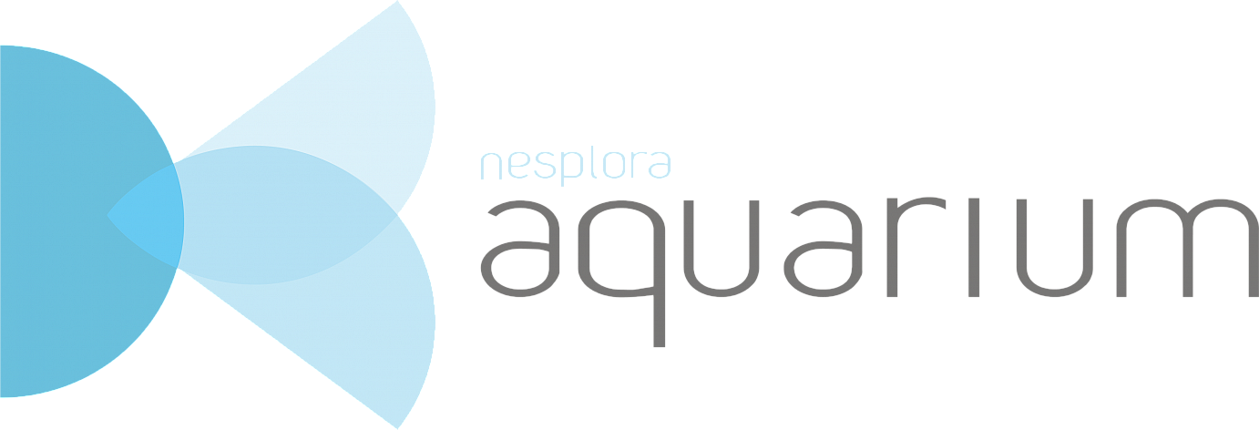 Nesplora Aquarium